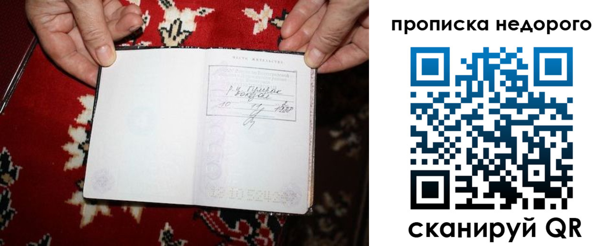 прописка гарантия в Моздоке